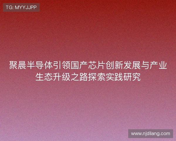 聚晨半导体引领国产芯片创新发展与产业生态升级之路探索实践研究 聚晨半导体引领国产芯片创新发展与产业生态升级之路探索实践研究